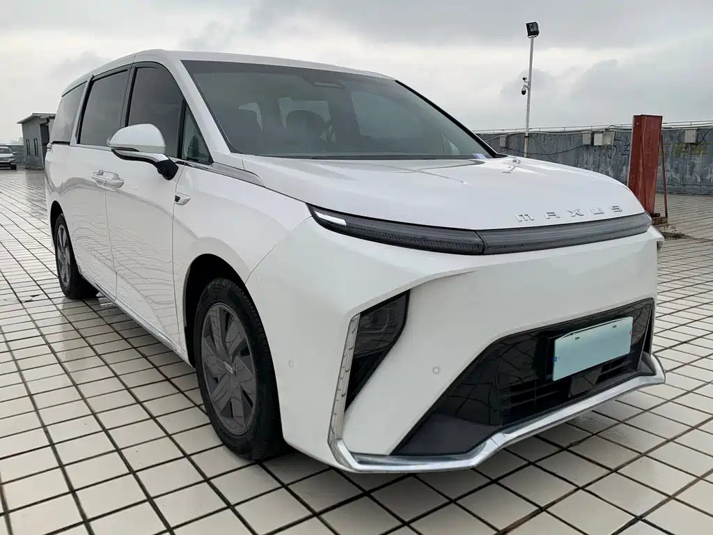 MAXUS Dajia 9 — миниатюра 3