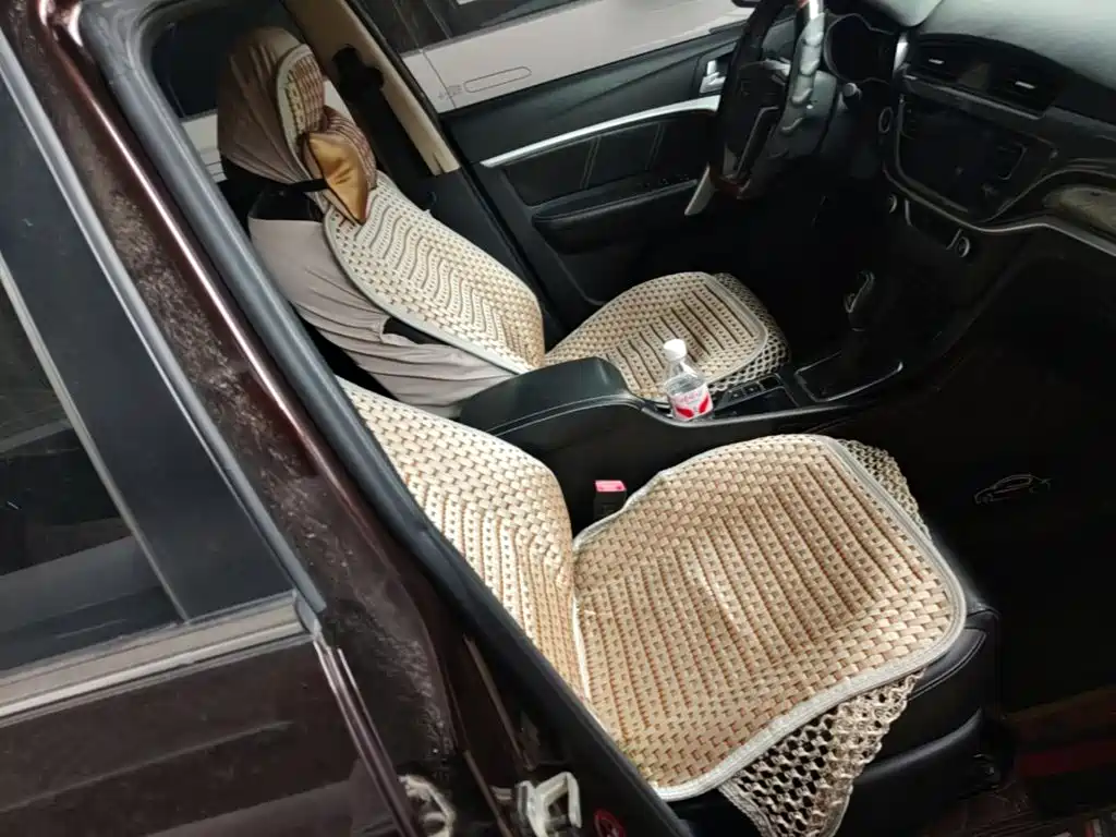 Geely Emgrand — миниатюра 25