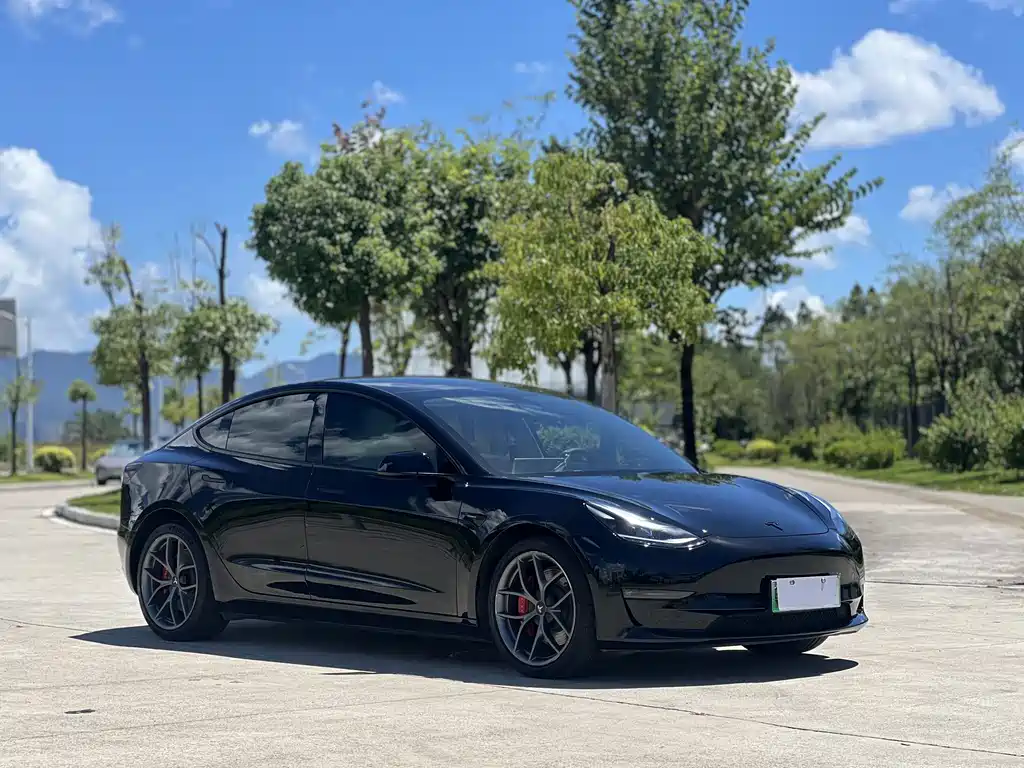 Tesla Model 3 — миниатюра 4