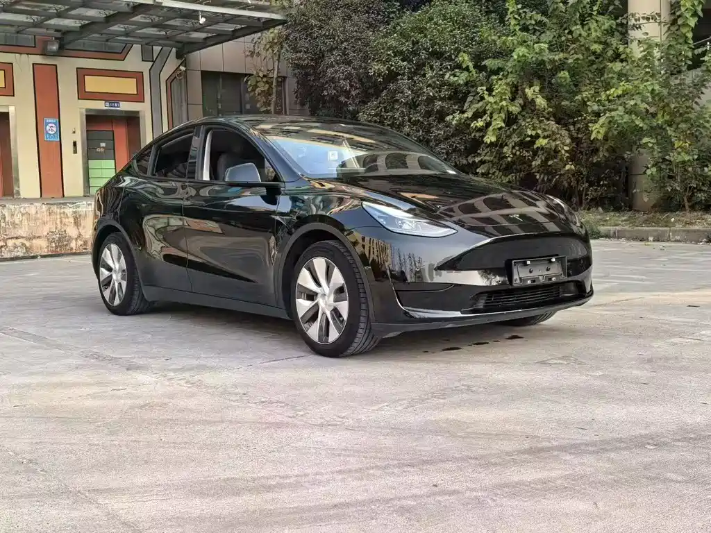 Tesla Model Y — миниатюра 3