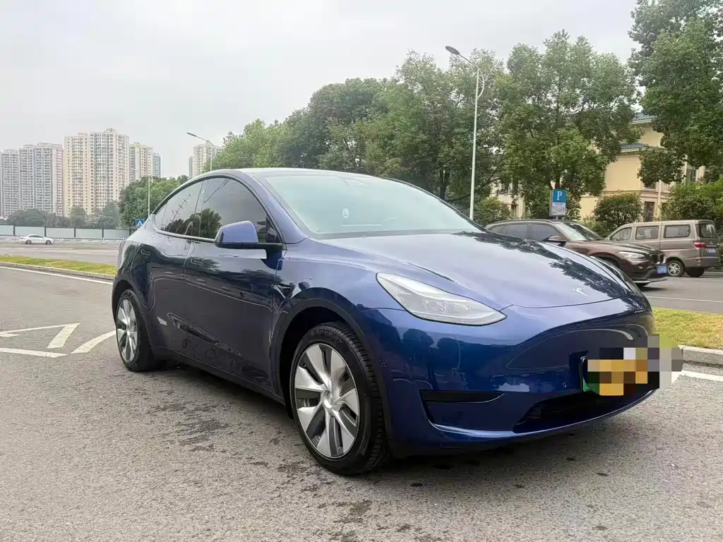 Tesla Model Y — миниатюра 3