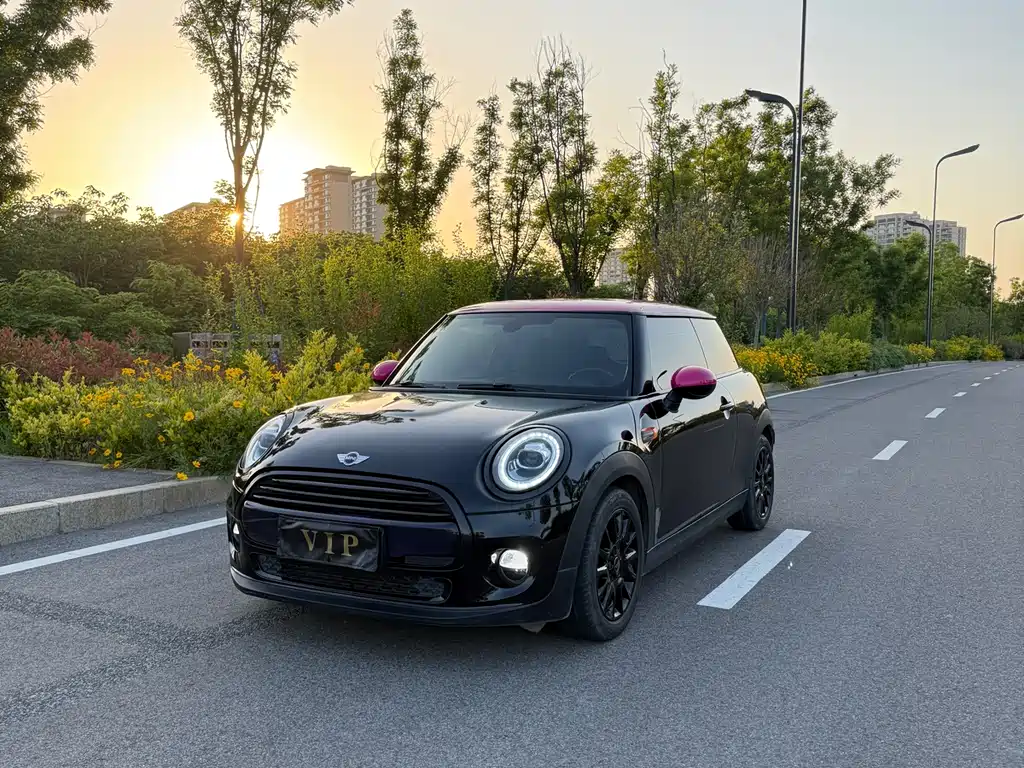 Mini Mini 2017