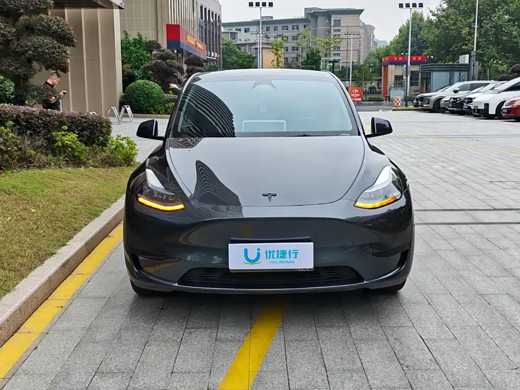 Tesla Model Y — миниатюра 3