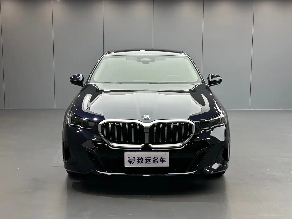 BMW 5 Series (Import) — миниатюра 2