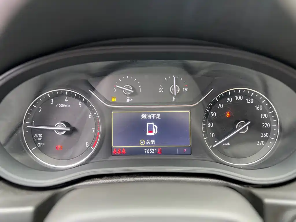 Buick Regal — миниатюра 11