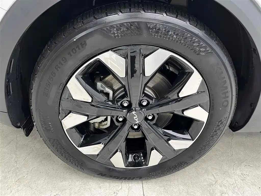 KIA LION PLATINUM EXPANDS THE WORLD