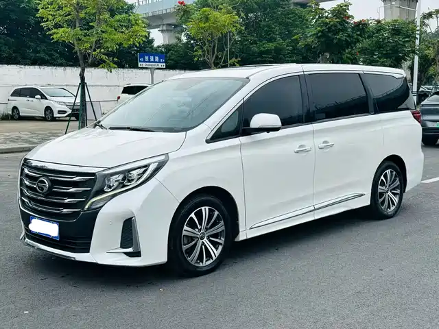 2020 GAC GN8