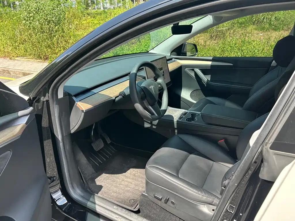 Tesla Model Y — миниатюра 4