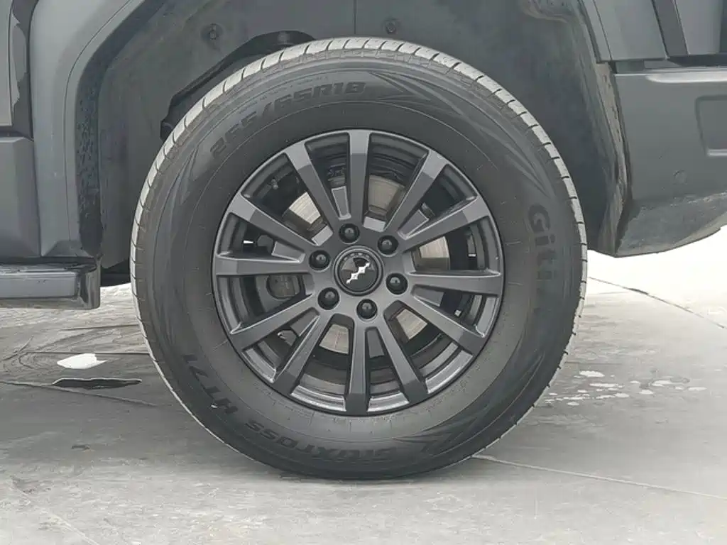 Fang Cheng Bao Leopard 5 — миниатюра 10