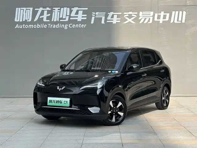 WULING WULING BINGGUO PLUS 2026