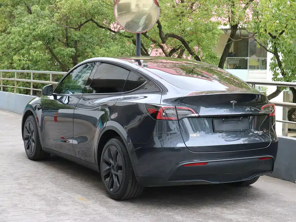 Tesla Model Y — миниатюра 3