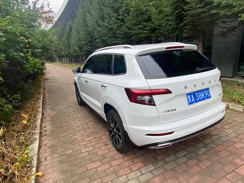 Skoda Karoq — миниатюра 4