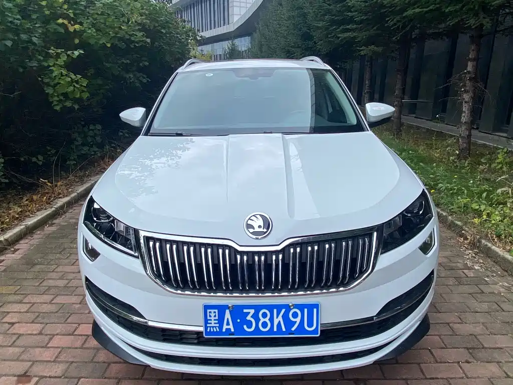 Skoda Karoq — миниатюра 2