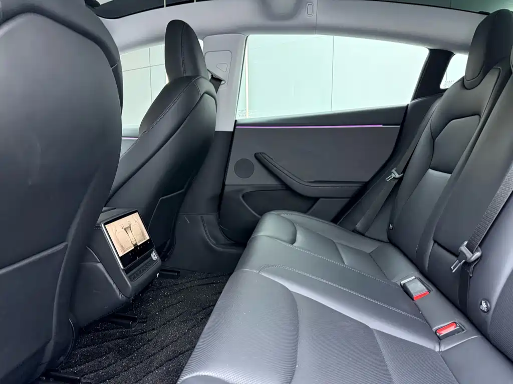 Tesla Model 3 — миниатюра 10