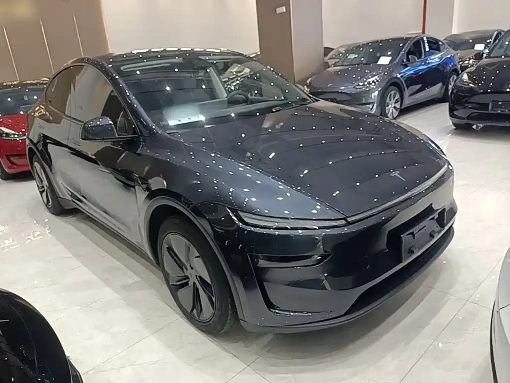 Tesla Model Y — миниатюра 4