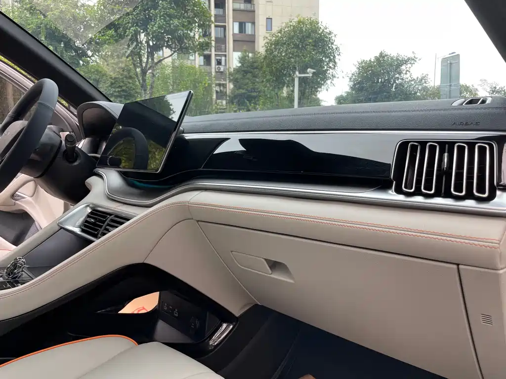 BYD PLUS New Energy — миниатюра 14