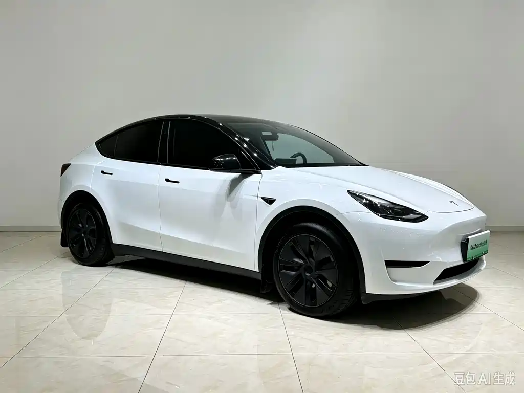 Tesla Model Y — миниатюра 3