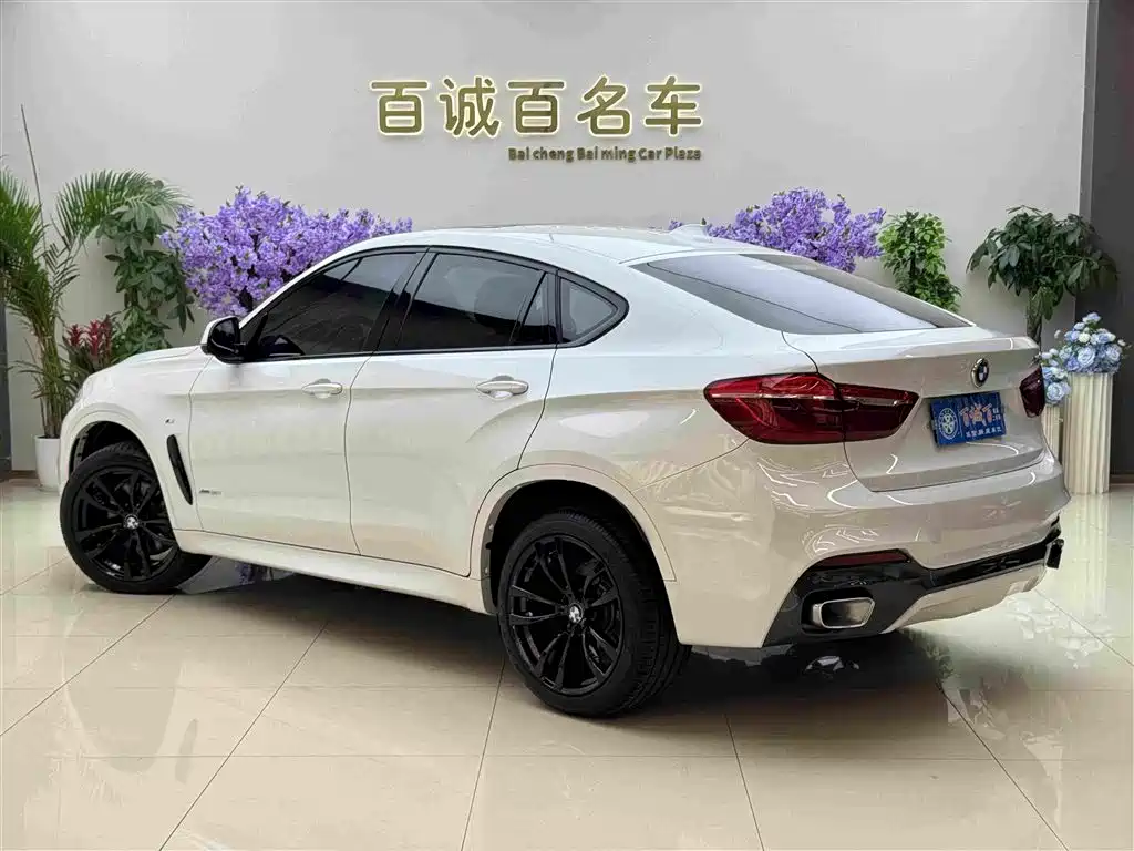 BMW X6 2019 xDrive35i M Sport