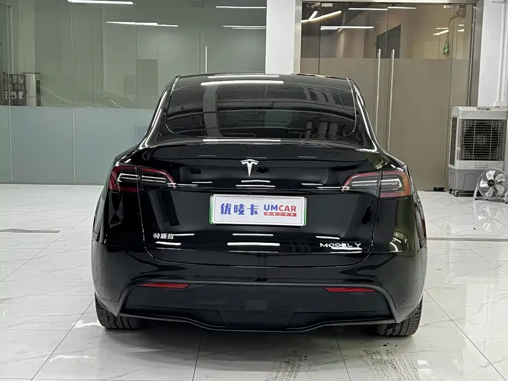 Tesla Model Y — миниатюра 5