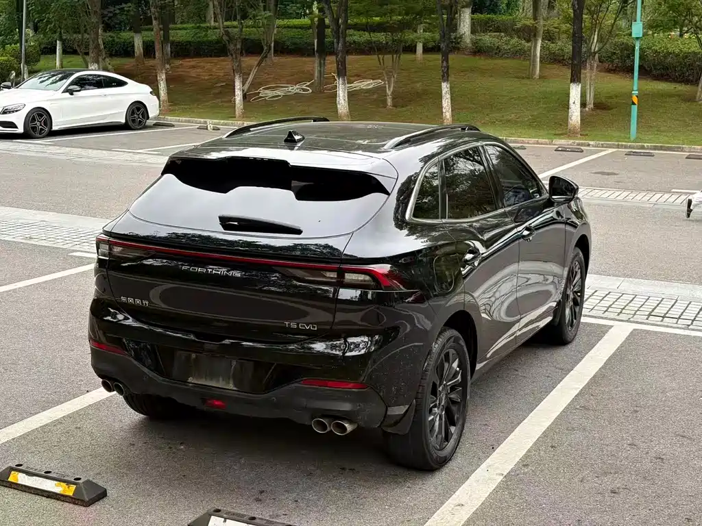 Fengxing Fengxing T5 EVO — миниатюра 15