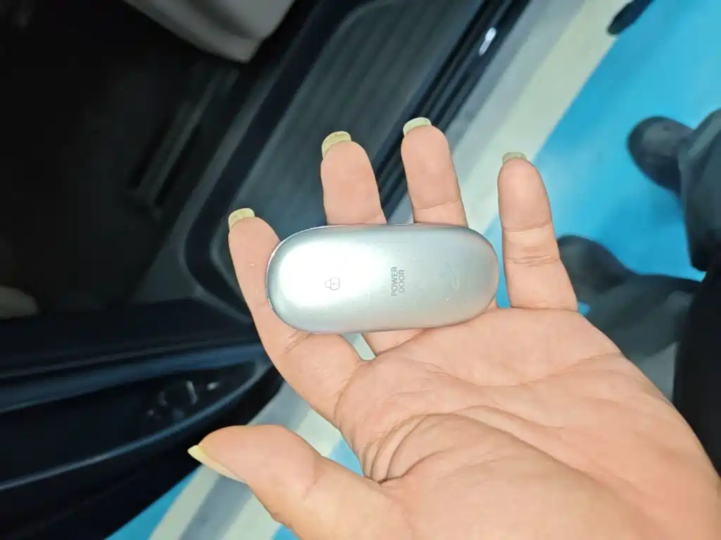 Li Auto MEGA 2025 Home