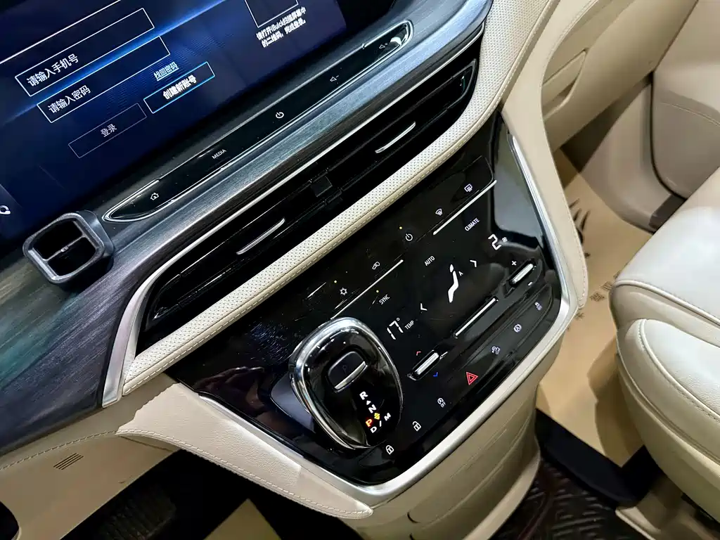 Buick GL8 — миниатюра 19