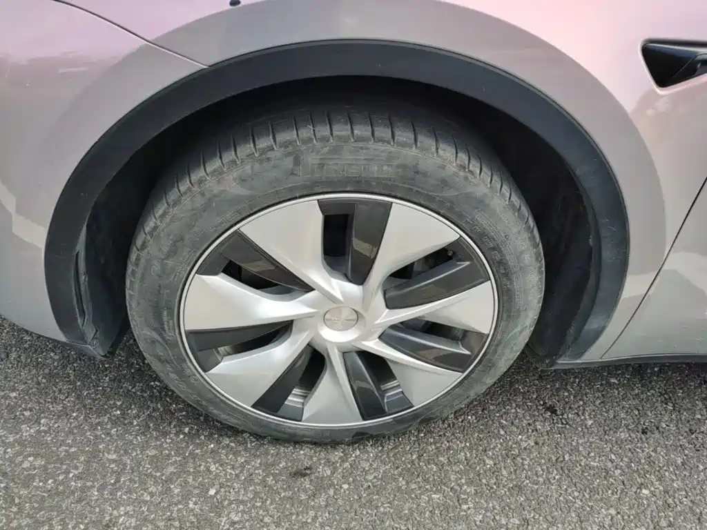 Tesla Model Y — миниатюра 23
