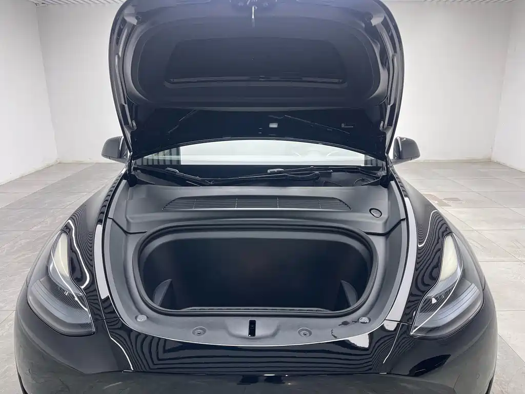 Tesla Model Y — миниатюра 9