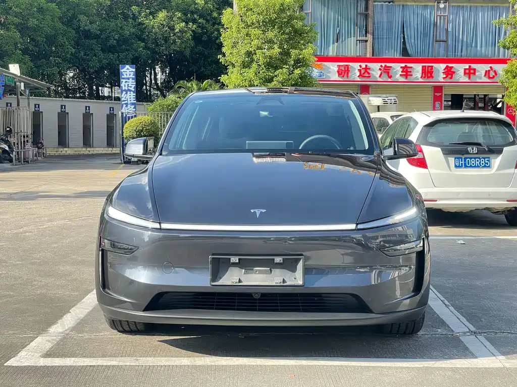 Tesla Model Y — миниатюра 2