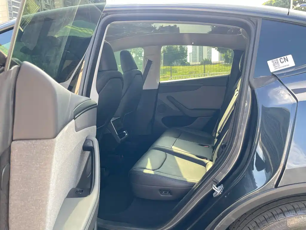 Tesla Model Y — миниатюра 9