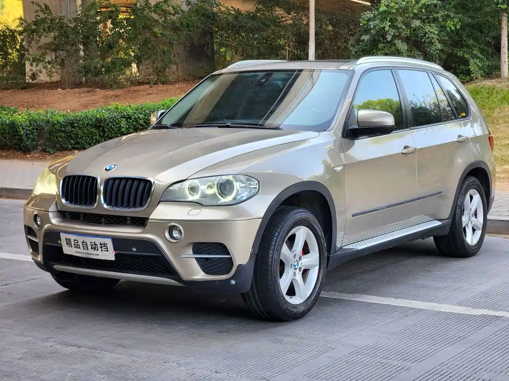 BMW X5 (Import) — миниатюра 2