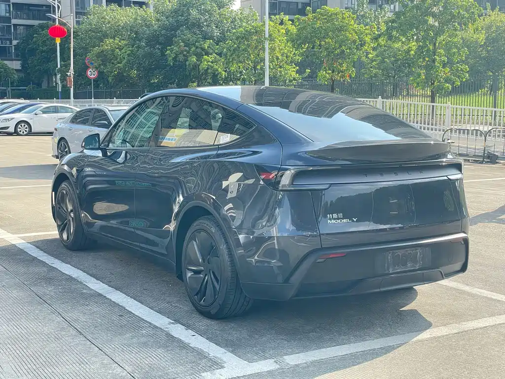 Tesla Model Y — миниатюра 23