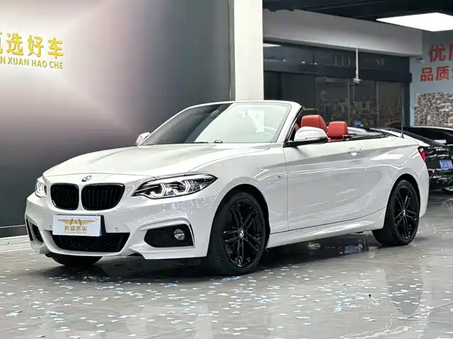 BMW 2 SERIES