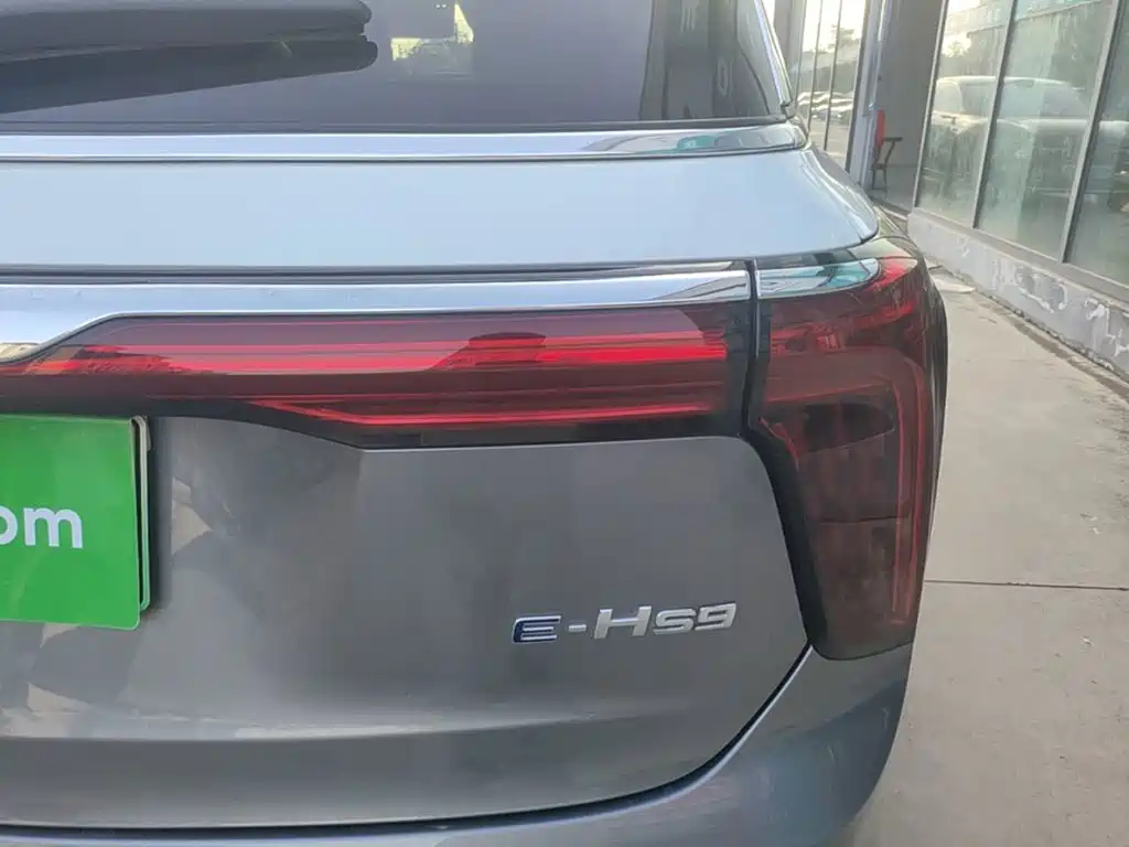 Hongqi Hongqi E-HS9 — миниатюра 8