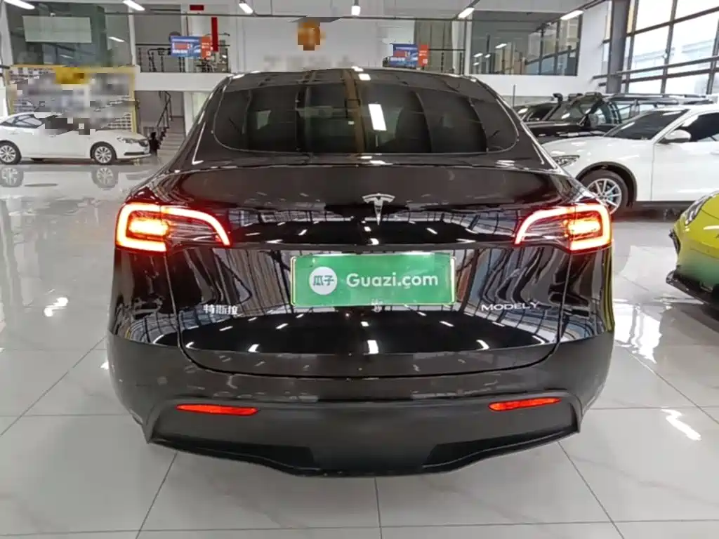 Tesla Model Y — миниатюра 6