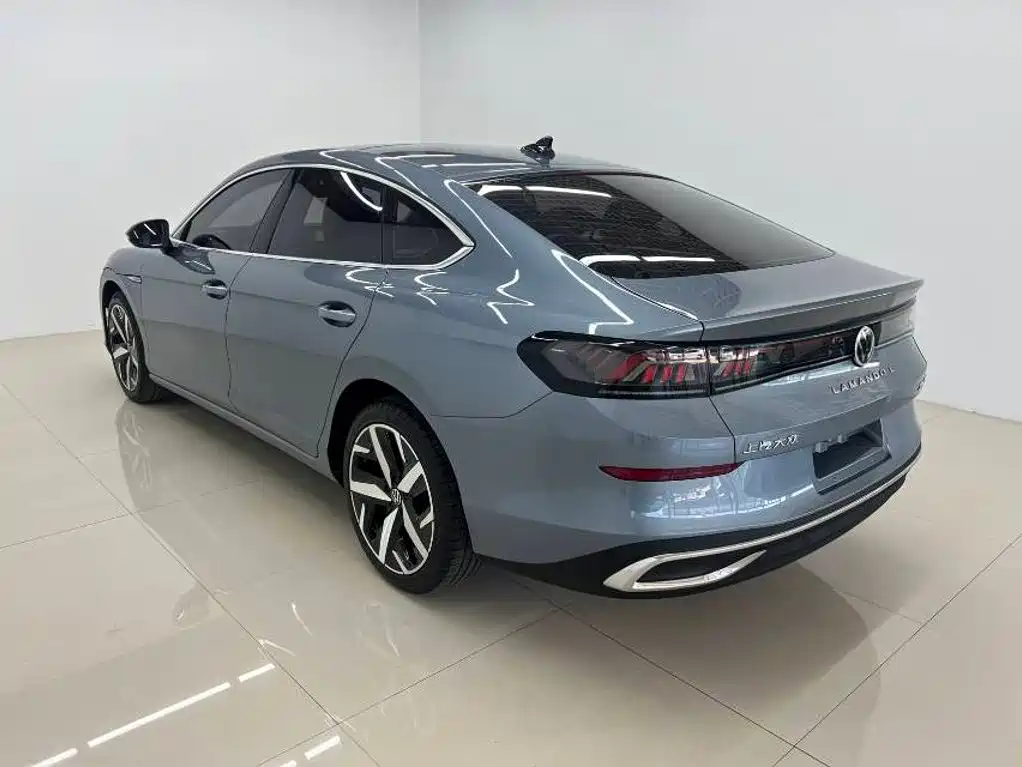 Volkswagen Lamando — миниатюра 6