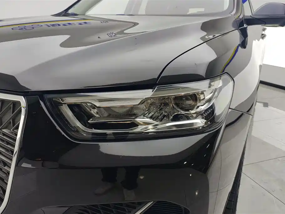 Haval H6 2021 1.5GDIT AT Luxury