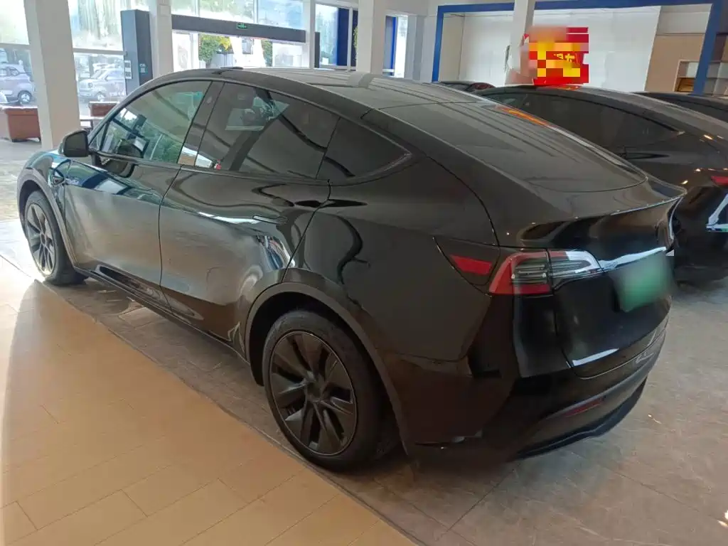 Tesla Model Y — миниатюра 7