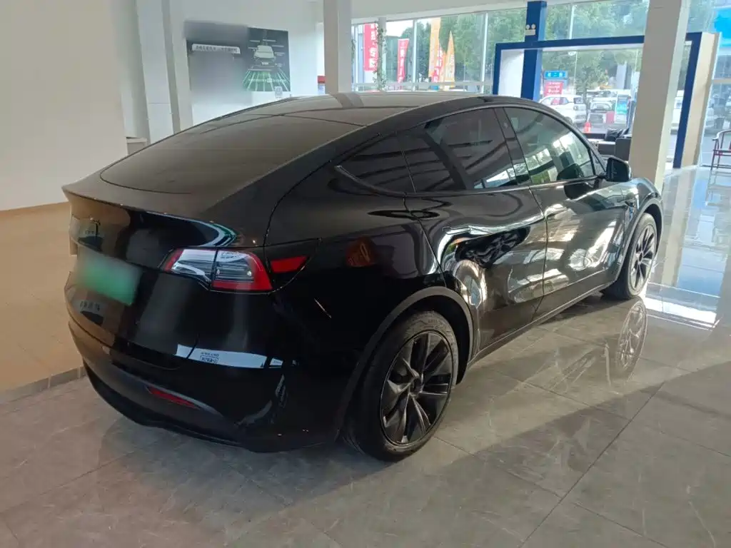 Tesla Model Y — миниатюра 6