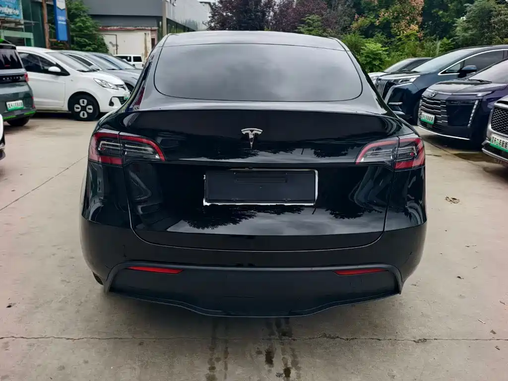 Tesla Model Y — миниатюра 5