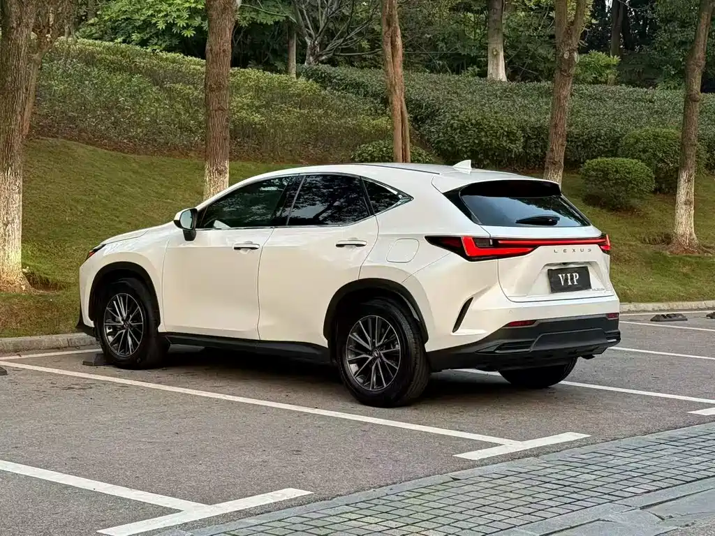 Lexus NX 2023 — фото 7