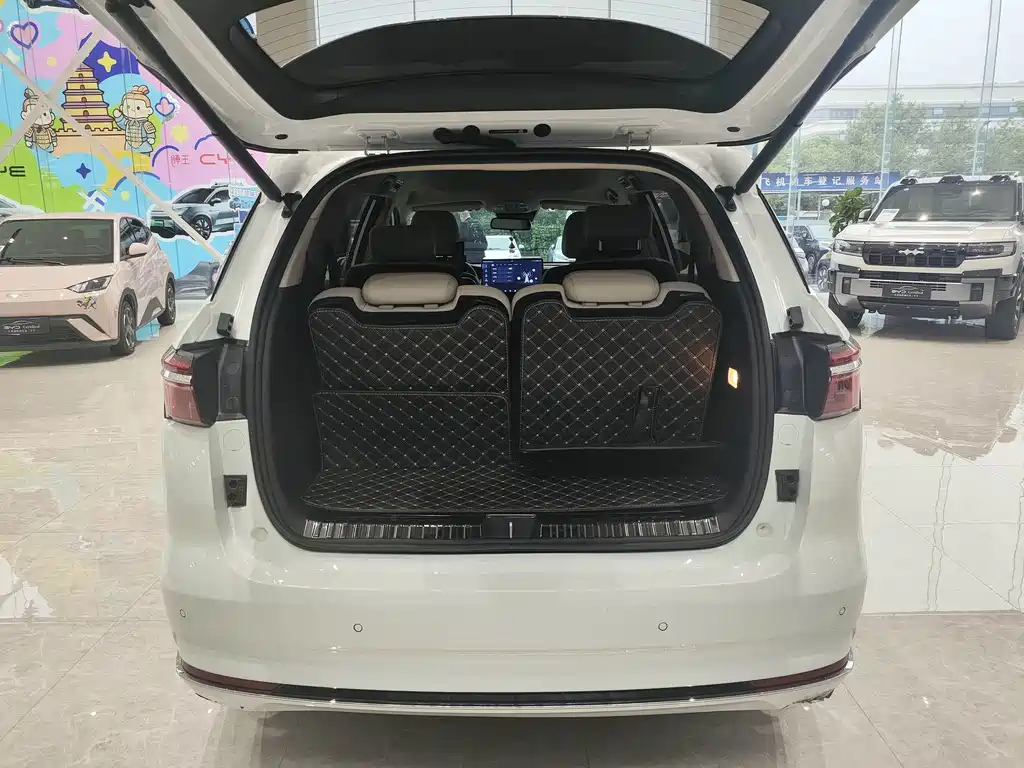 BYD MAX New Energy — миниатюра 16