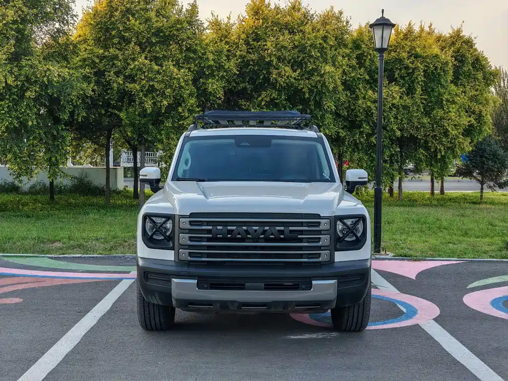 Haval Menglong New Energy — миниатюра 2