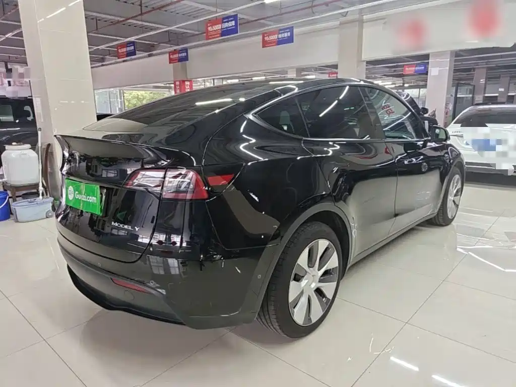 Tesla Model Y — миниатюра 7