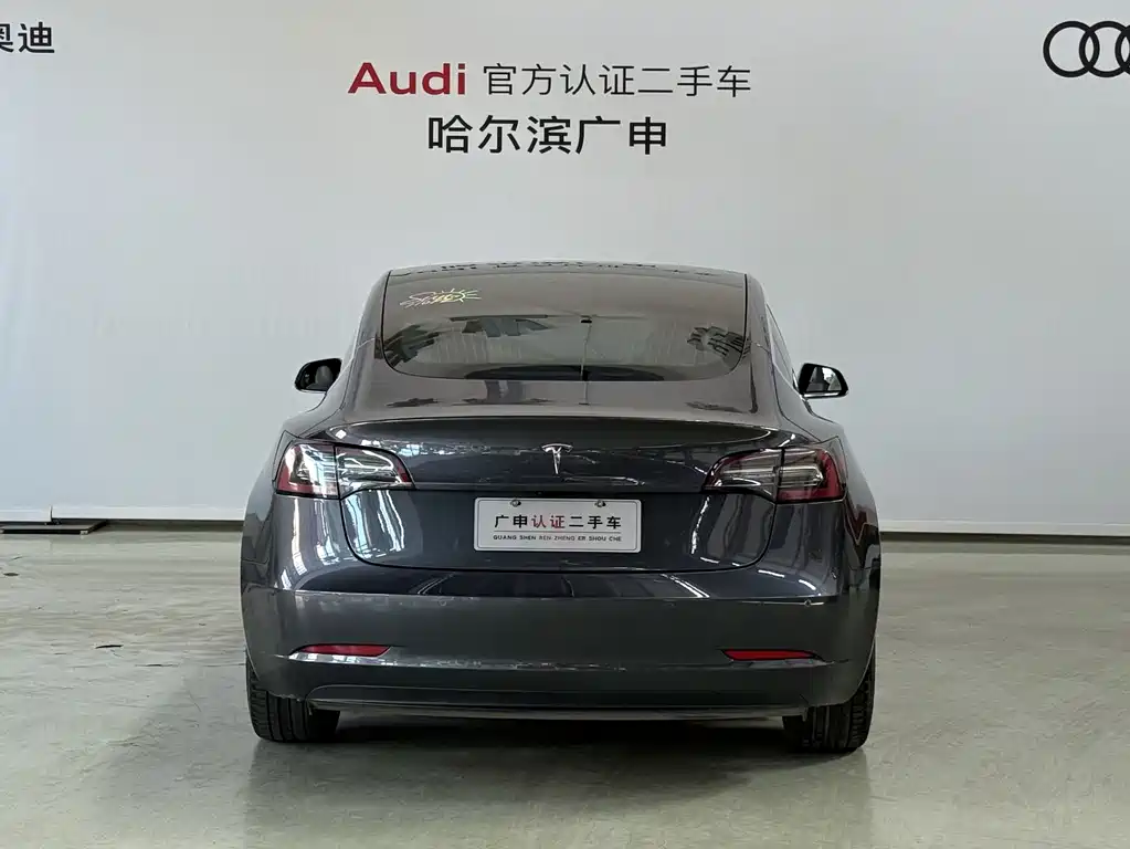 Tesla Model 3 — миниатюра 3