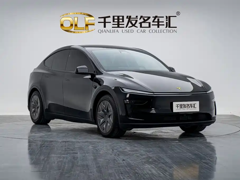 Tesla Model Y L — миниатюра 5