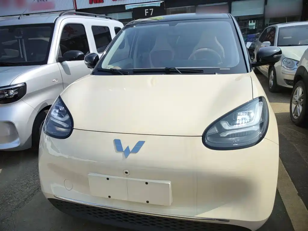 Wuling Binguo 2025 333km