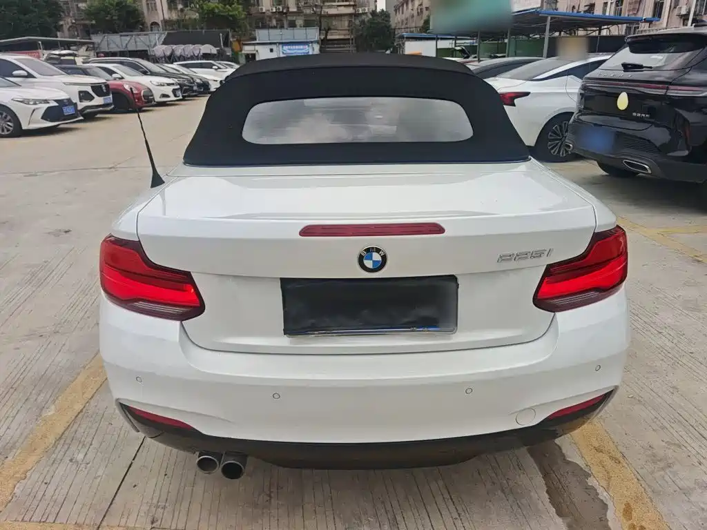 BMW 2 Series 2 2018 225i M Sport