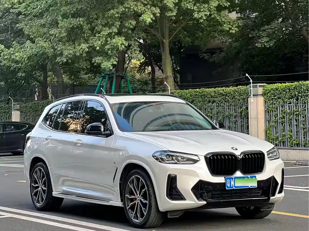 BMW X3 — миниатюра 2