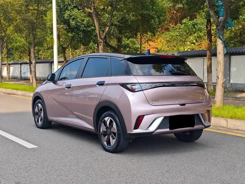 BYD Dolphin — миниатюра 7